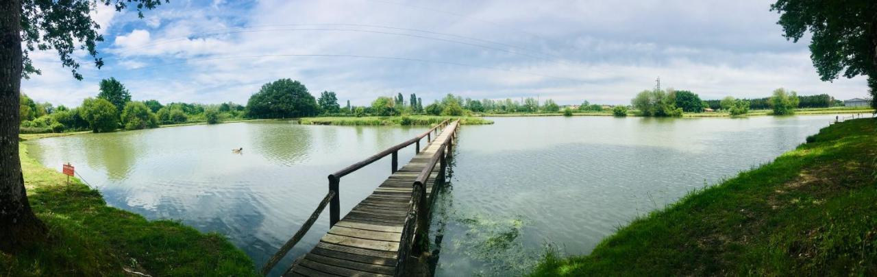 Вилла Domaine Du Vieux Chene Бержерак Экстерьер фото